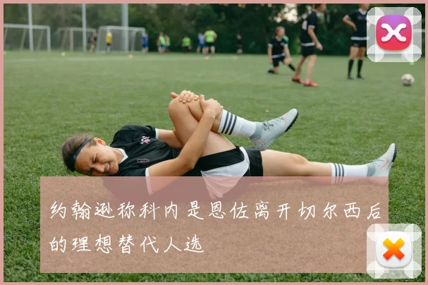 约翰逊称科内是恩佐离开切尔西后的理想替代人选